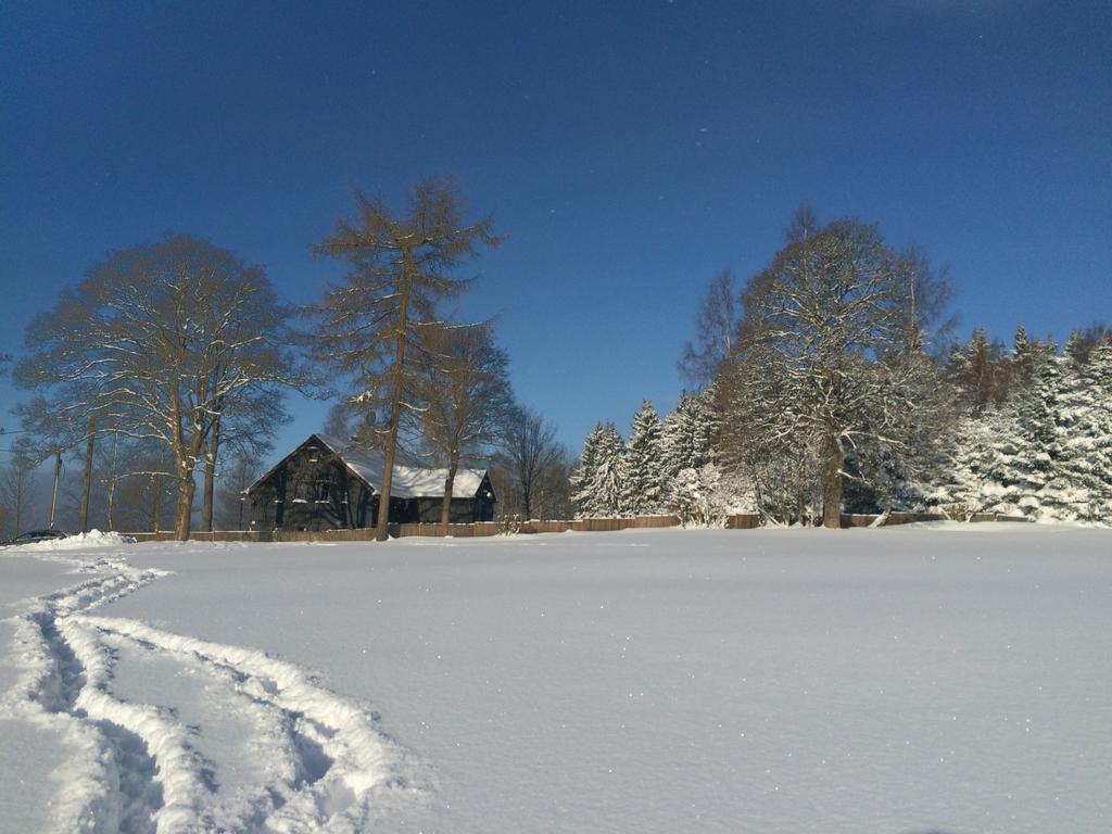 Вілла Ferienhaus Berghuette Vogtland In Клінґенталь Екстер'єр фото