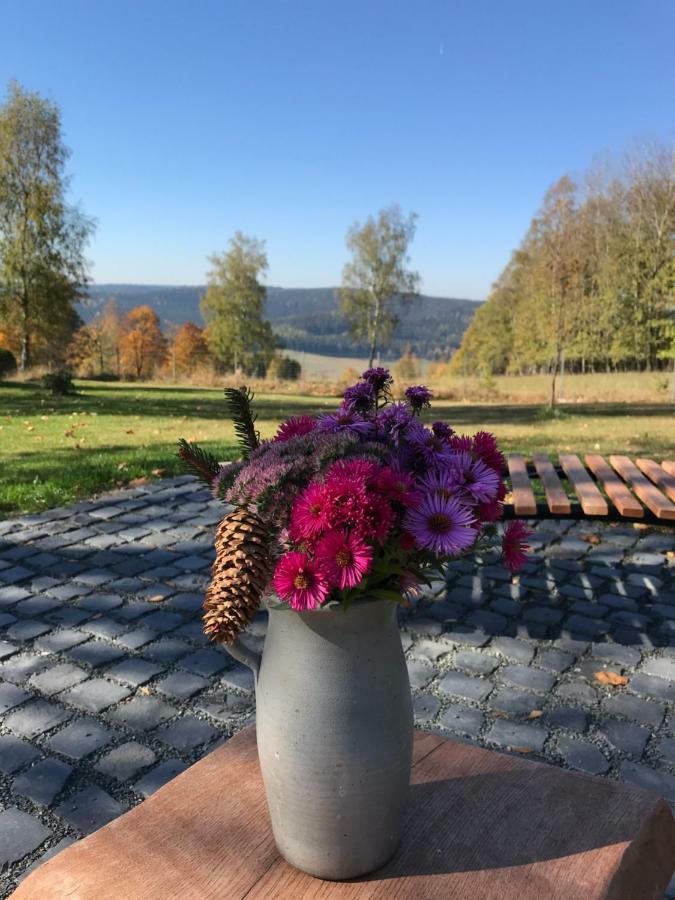 Вілла Ferienhaus Berghuette Vogtland In Клінґенталь Екстер'єр фото